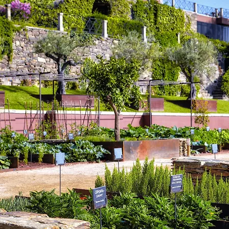 ホテル シックス センシズ ドウロ バレー 5*