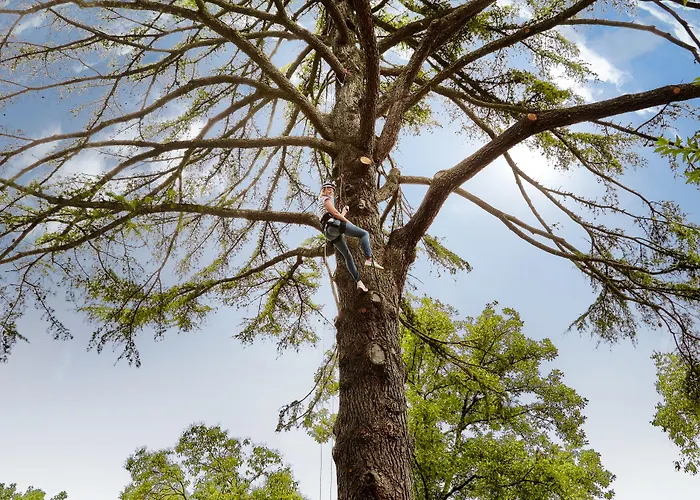 Six Senses Douro Valley Szálloda