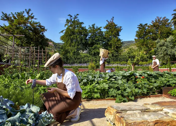 Hotel Six Senses Douro Valley