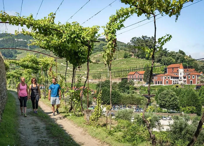 Szálloda Six Senses Douro Valley 5*